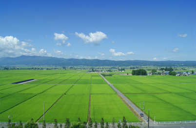 会津の田園地帯